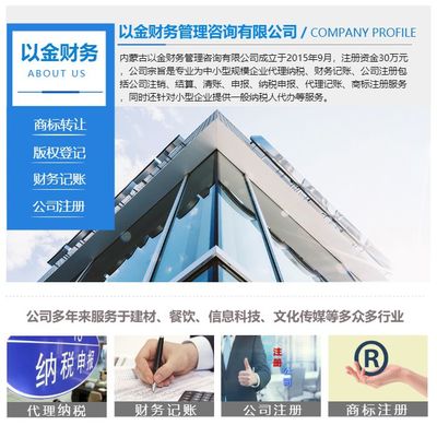 財務(wù)記賬-內(nèi)蒙古以金財務(wù)-財務(wù)記賬報表